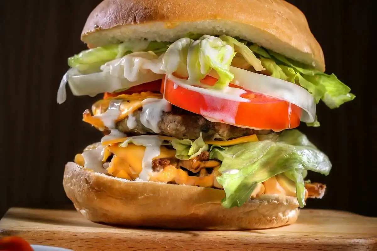 hamburguesa simple hamburguesa