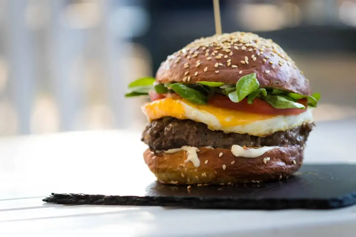 hamburguesa con cebolla hamburguesa